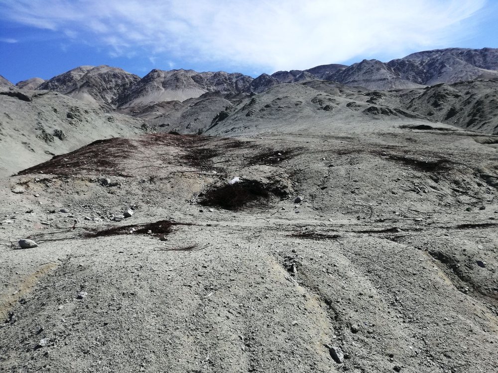 En Caleta Ño Robles aún se conservan vestigios de cables pertenecientes a las faenas de la Sociedad Torres, López, Garday.