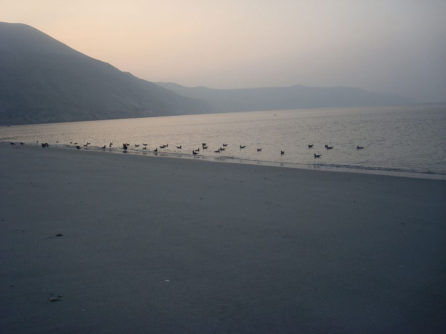 Imagen de las guaneras de Mejillones