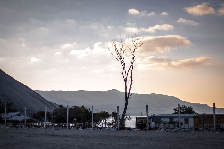 Imagen de las guaneras de Mejillones